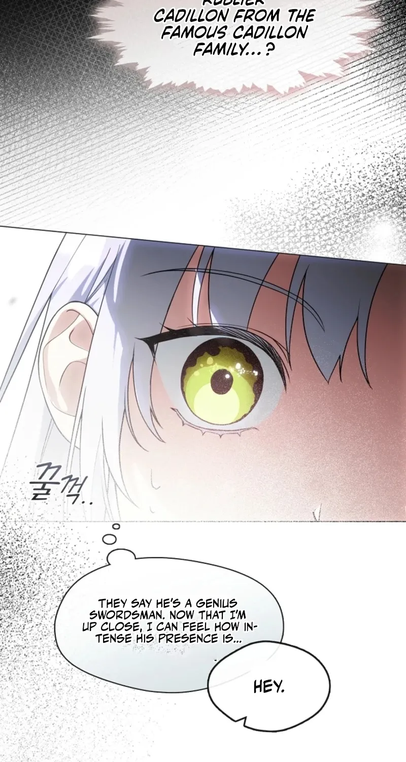 I Changed My Husband at the Wedding Chapter 8 page 12 - 