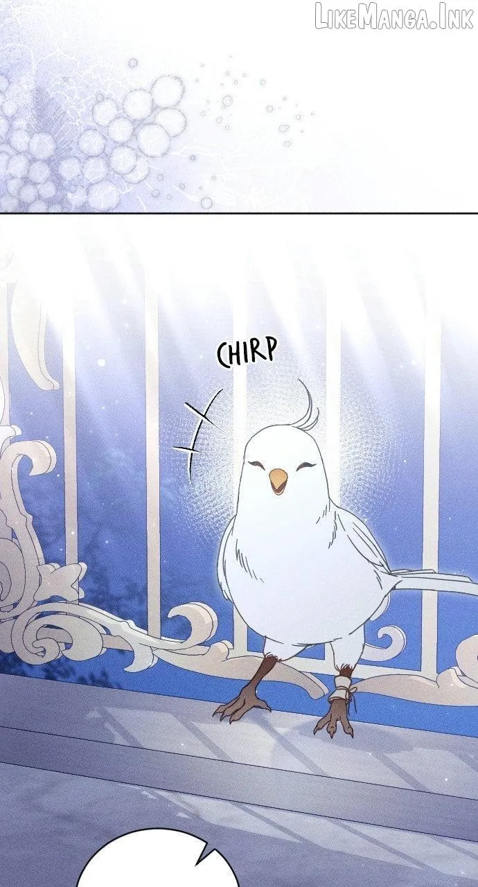 I dare to plead Chapter 55 page 39 - 