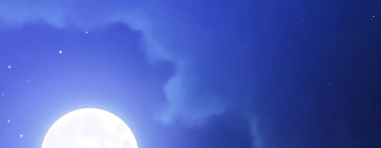 Read I Declare Vengeance! chapter 8 image 193 on Lezhin