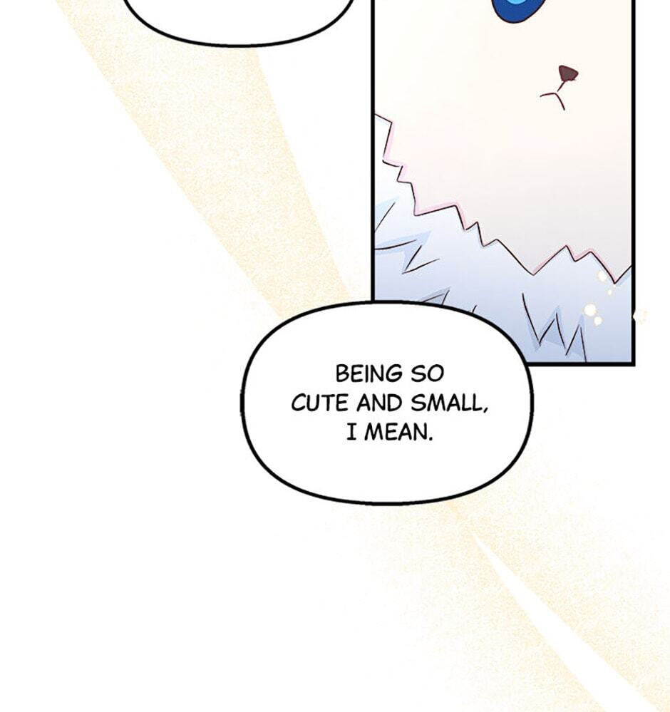 Read I Don