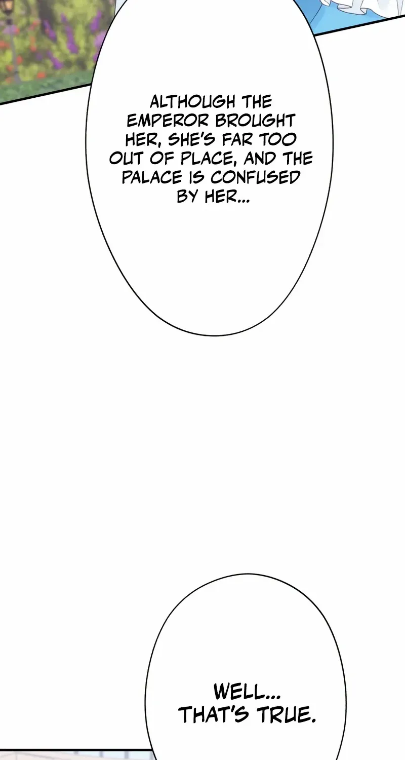 I Don’t Want to Remarry a Tyrant Chapter 12 page 47 - 