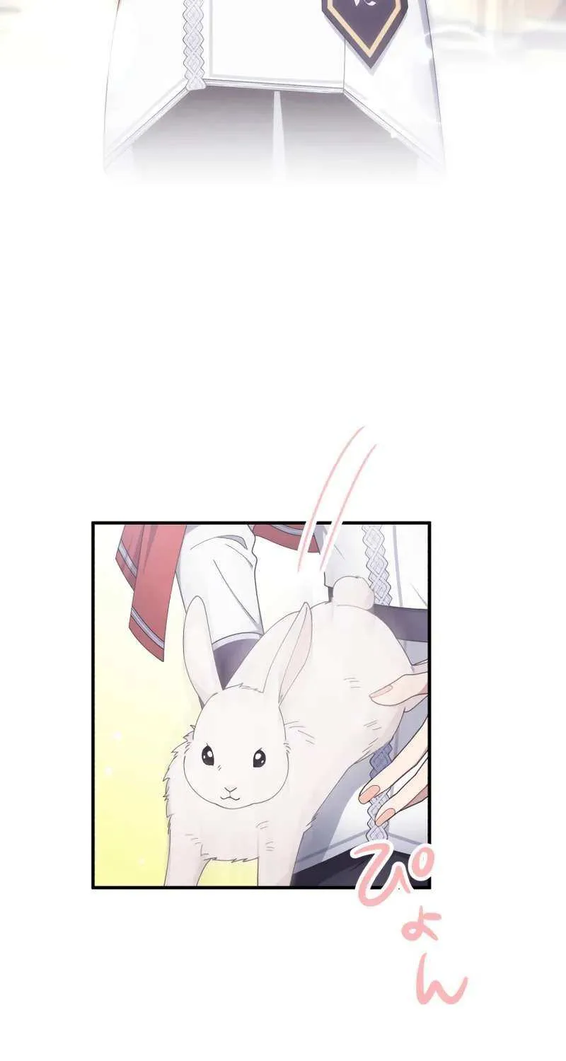 I Don’t Want to Remarry a Tyrant Chapter 15 page 13 - 