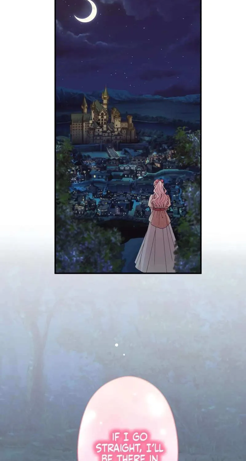 I Don’t Want to Remarry a Tyrant Chapter 17 page 103 - 