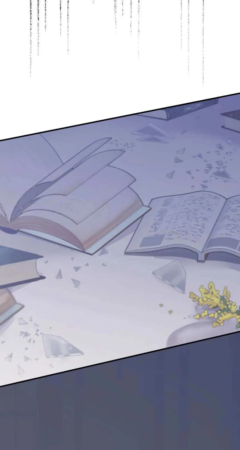 I Don’t Want to Remarry a Tyrant Chapter 17 page 65 - 