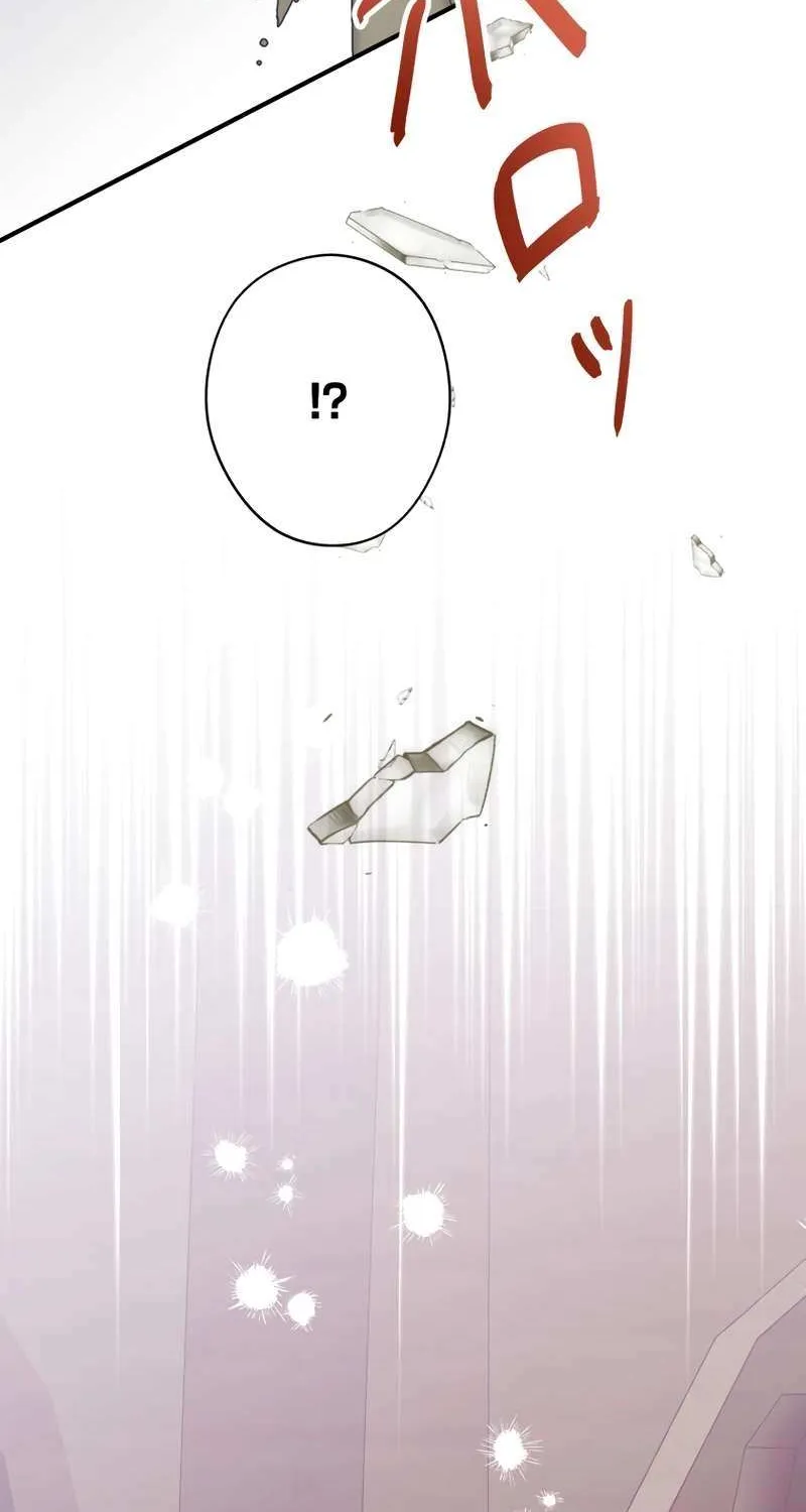 I Don’t Want to Remarry a Tyrant Chapter 20 page 73 - 