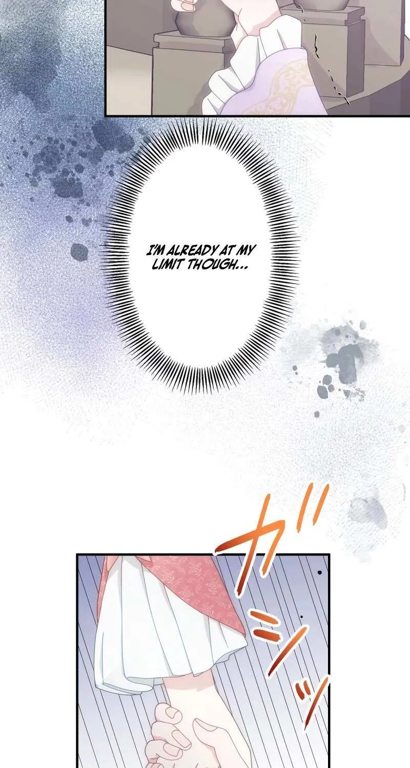 I Don’t Want to Remarry a Tyrant Chapter 20 page 95 - 