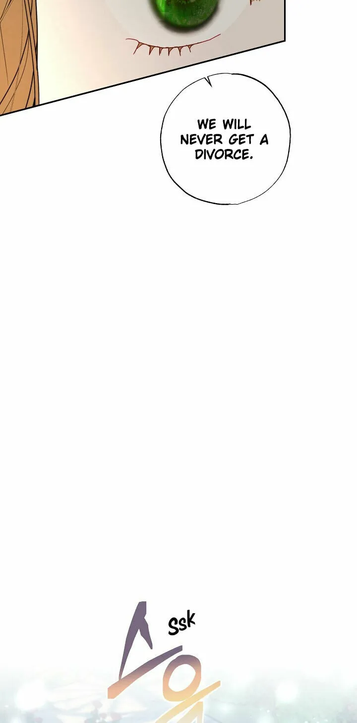 I Failed to Divorce My Husband Chapter 40 page 12 - 