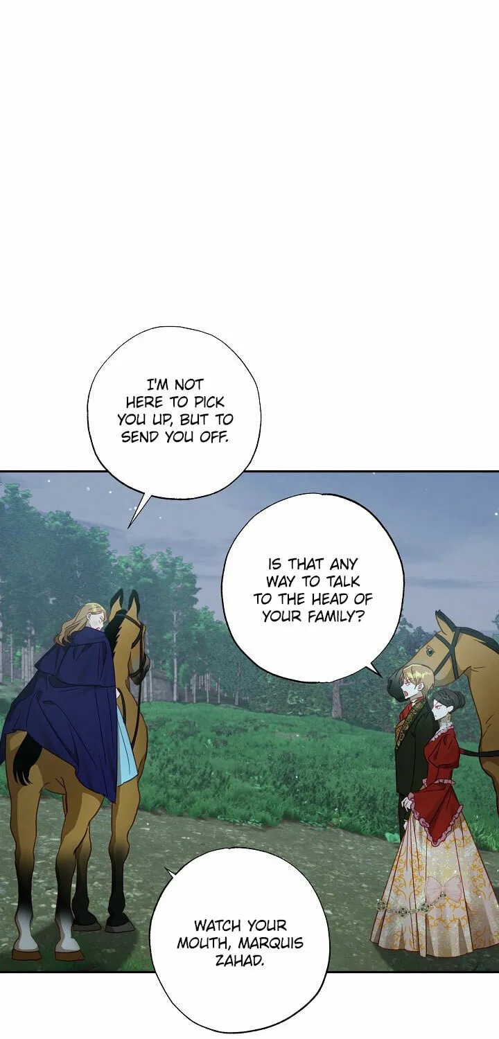 I Failed to Divorce My Husband Chapter 45 page 49 - 