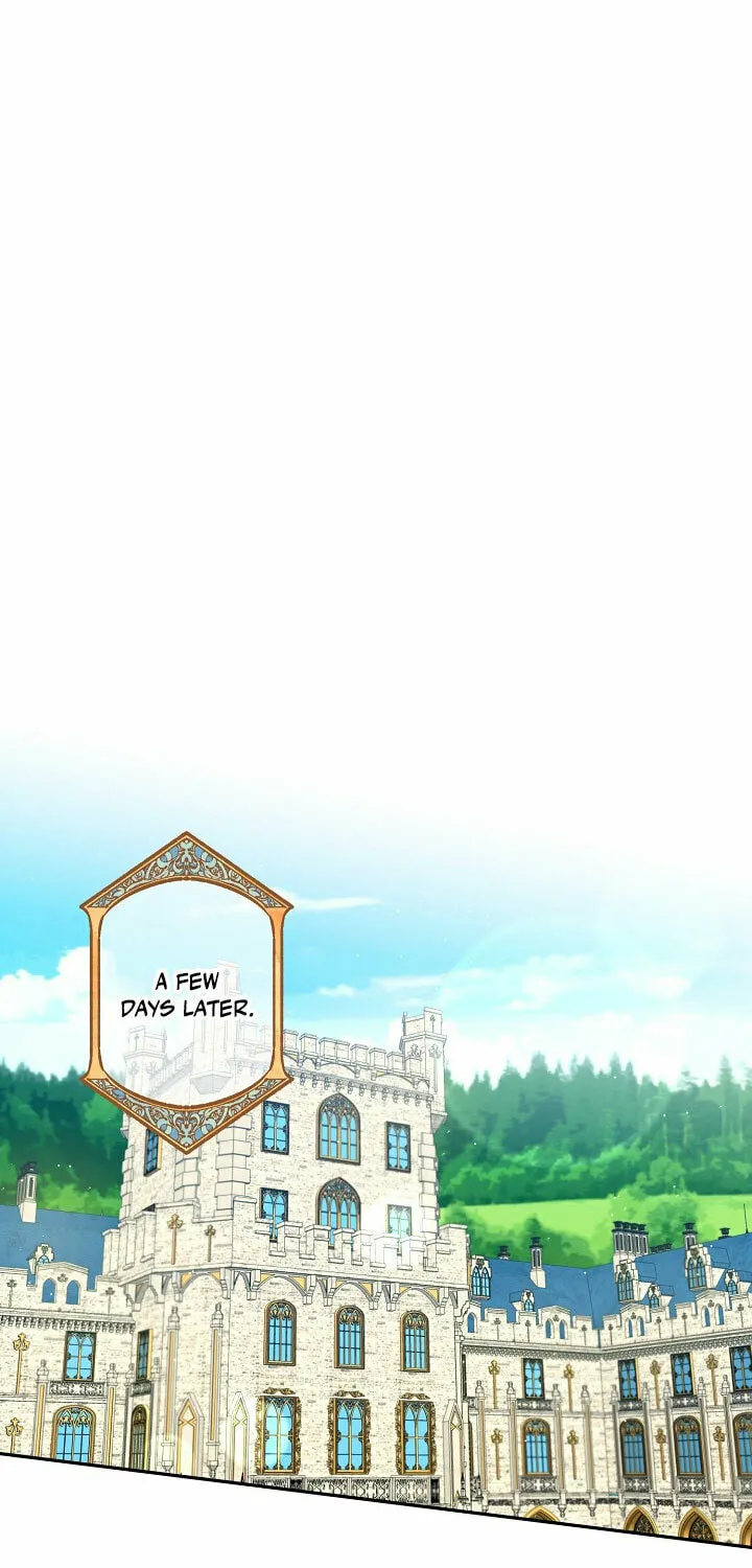 I Failed to Divorce My Husband Chapter 55 page 25 - 