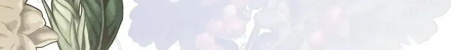 Read I Fell into a Reverse Harem Game! chapter 110.5 image 130 on Lezhin