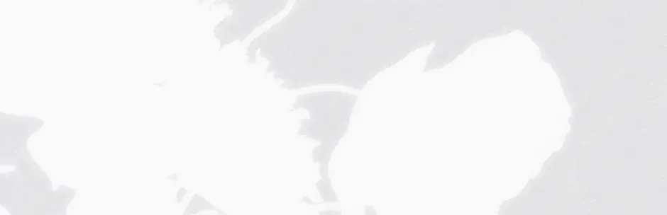 Read I Fell into a Reverse Harem Game! chapter 141 image 85 on Lezhin