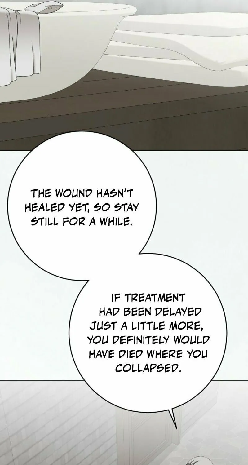 Read I Fell into a Reverse Harem Game! chapter 157 image 95 on Lezhin