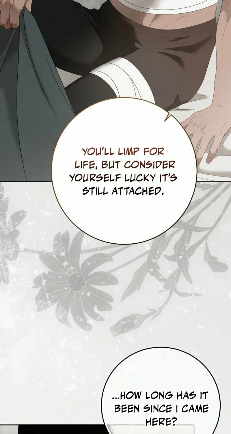 Read I Fell into a Reverse Harem Game! chapter 157 image 98 on Lezhin