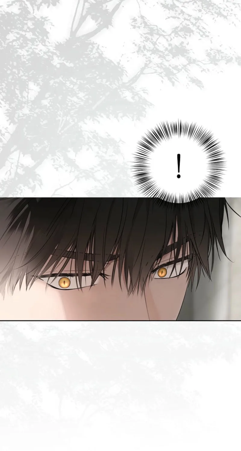 Read I Fell into a Reverse Harem Game! chapter 159 image 30 on Lezhin