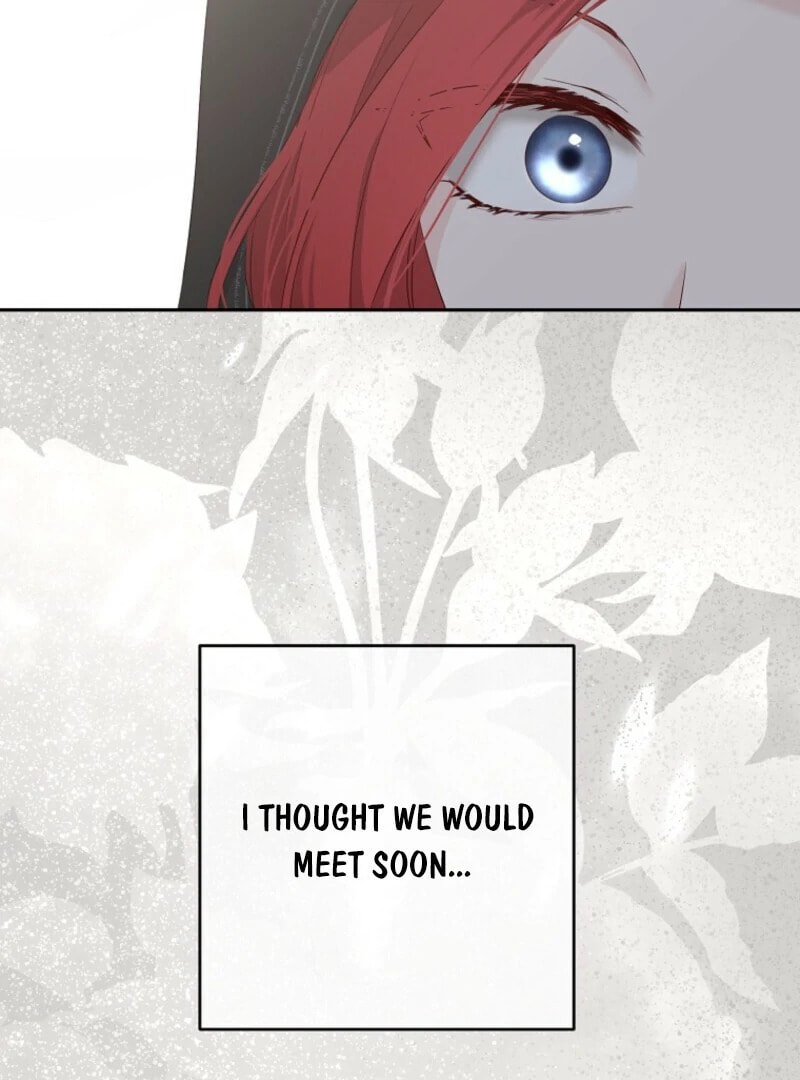 Read I Fell into a Reverse Harem Game! chapter 165 image 2 on Lezhin