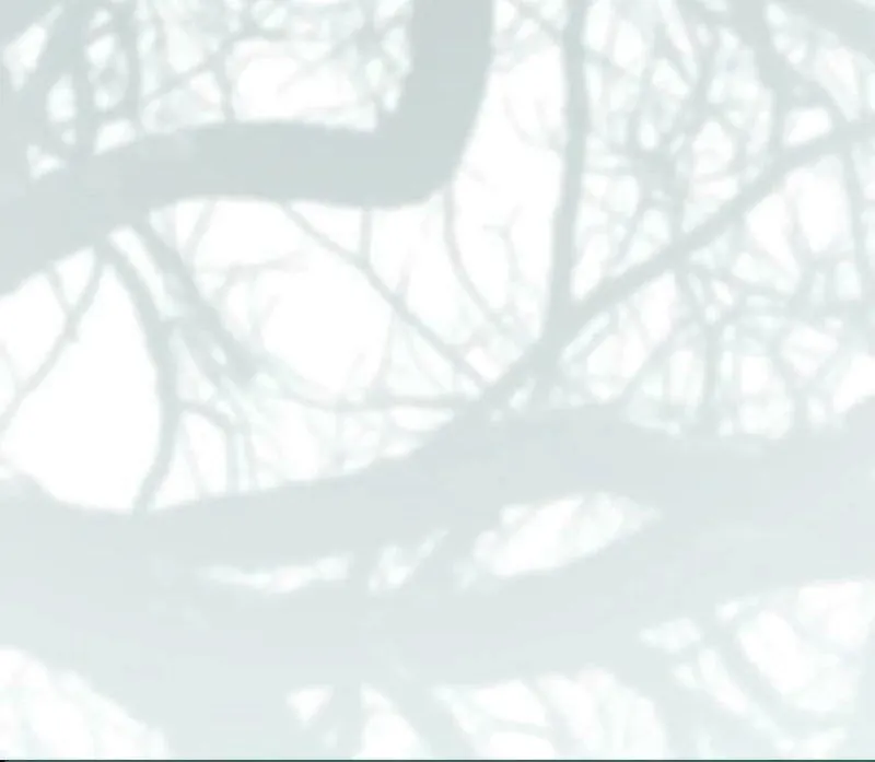 I Grabbed the Leash of the Blind Beast Chapter 25 page 75 - 
