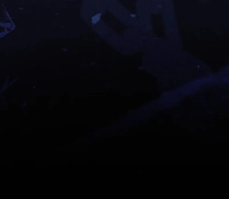 I Grabbed the Leash of the Blind Beast Chapter 54 page 30 - 