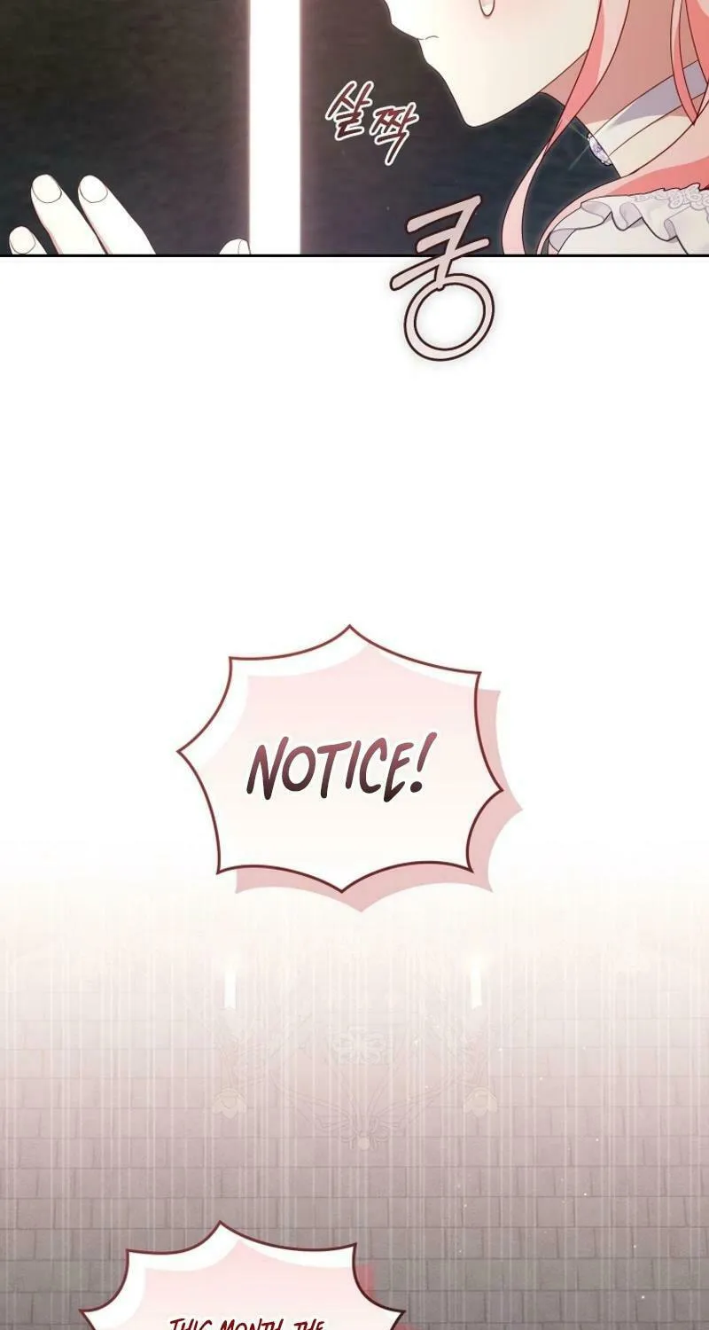I'm Being Raised by Villains Chapter 79 page 17 - 