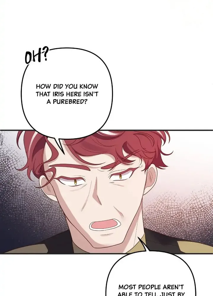 I'm Engaged to an Obsessive Male Lead Chapter 55 page 45 - 