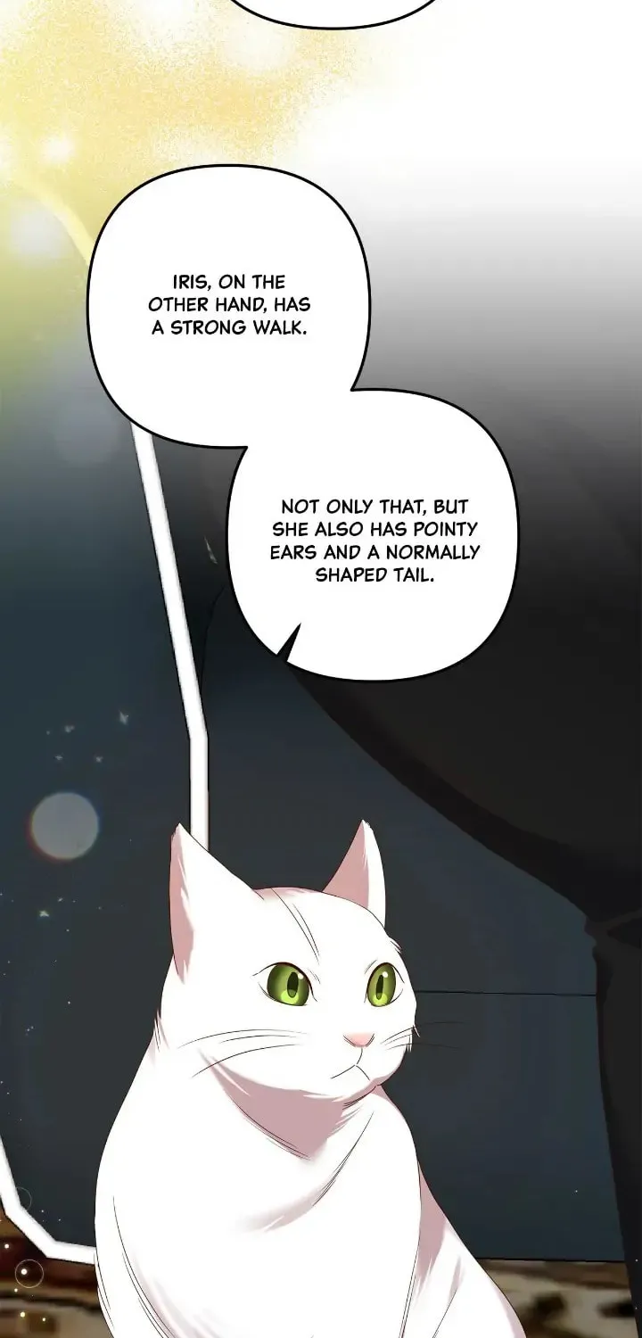 I'm Engaged to an Obsessive Male Lead Chapter 55 page 48 - 