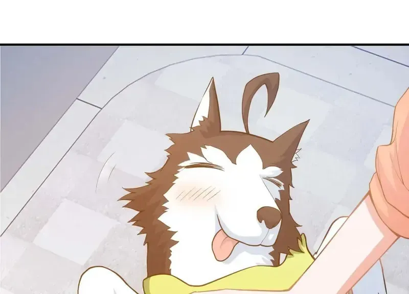 I'm Now a Super Husky Chapter 3 page 60 - 