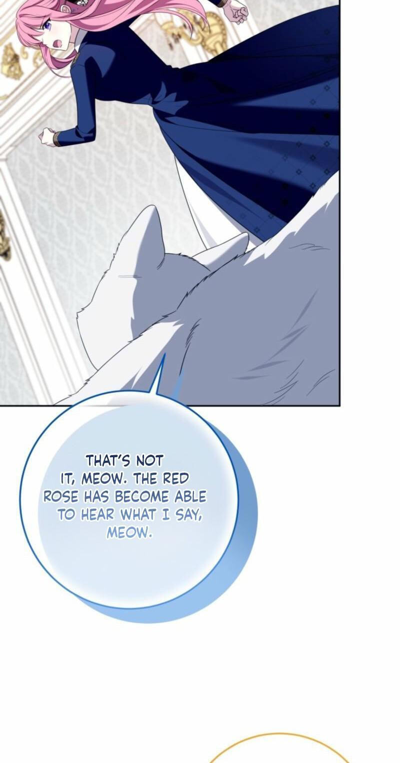 I Met the Male Lead In Prison Chapter 100 page 69 - 
