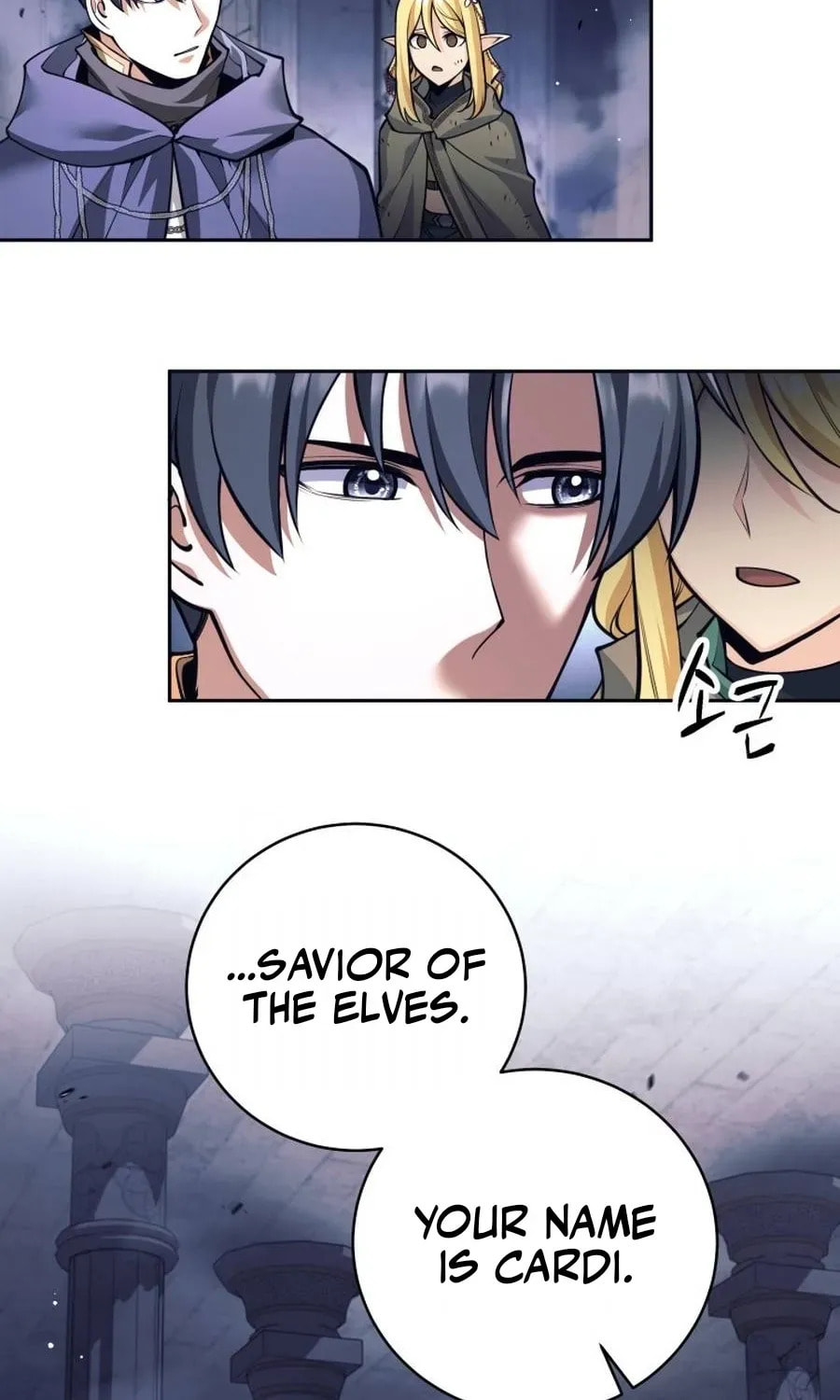 I Quit the Hero's Party Chapter 127 page 17 - 