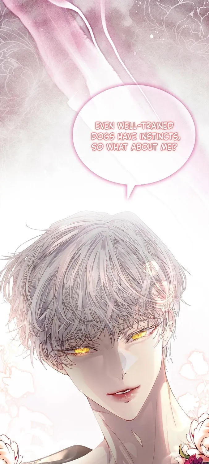 Read I Raised a Nine Tailed Fox Wrongly chapter 1 image 2 on Lezhin