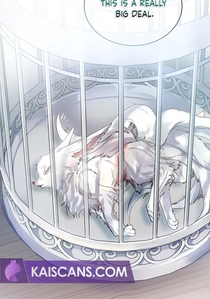 Read I Raised a Nine Tailed Fox Wrongly chapter 1 image 25 on Lezhin