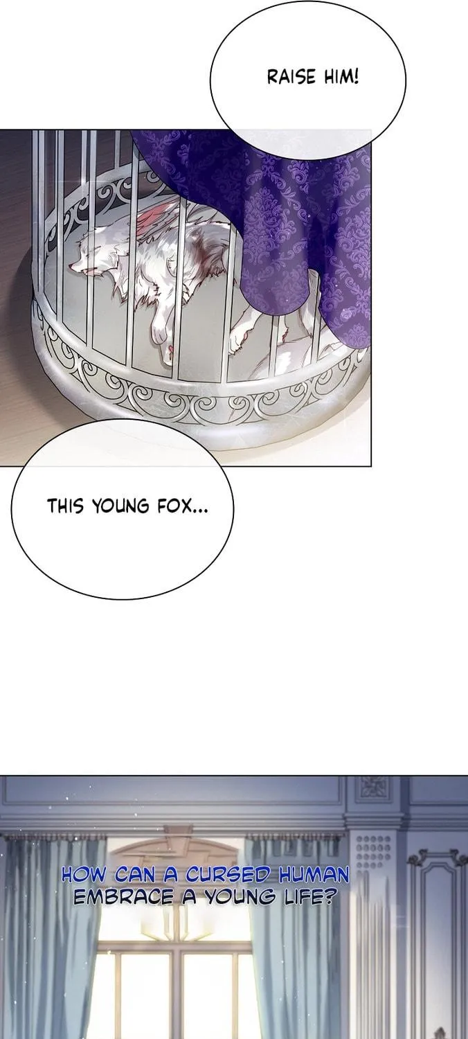 Read I Raised a Nine Tailed Fox Wrongly chapter 1 image 78 on Lezhin