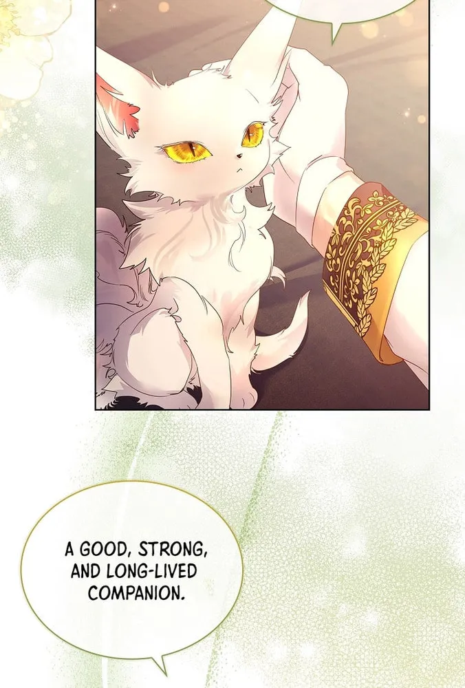 Read I Raised a Nine Tailed Fox Wrongly chapter 10 image 25 on Lezhin