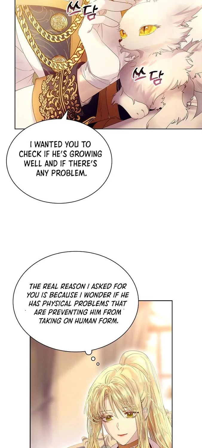 Read I Raised a Nine Tailed Fox Wrongly chapter 10 image 34 on Lezhin