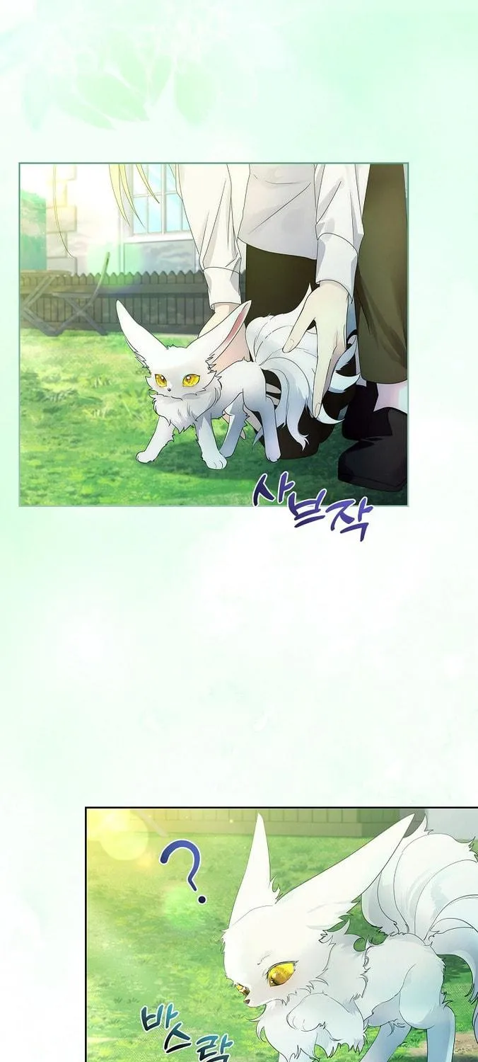 Read I Raised a Nine Tailed Fox Wrongly chapter 12 image 10 on Lezhin