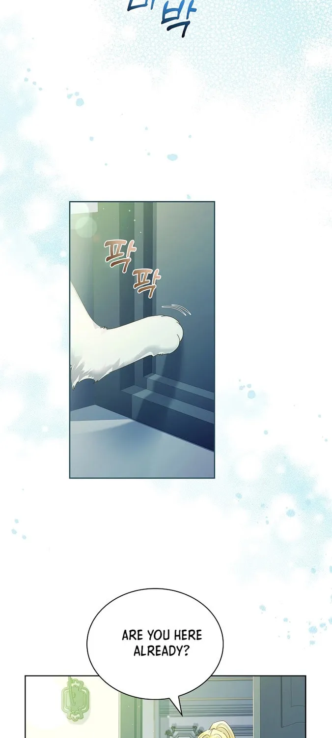 Read I Raised a Nine Tailed Fox Wrongly chapter 12 image 20 on Lezhin