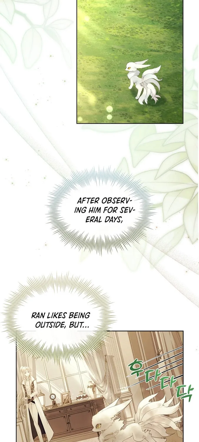Read I Raised a Nine Tailed Fox Wrongly chapter 12 image 42 on Lezhin