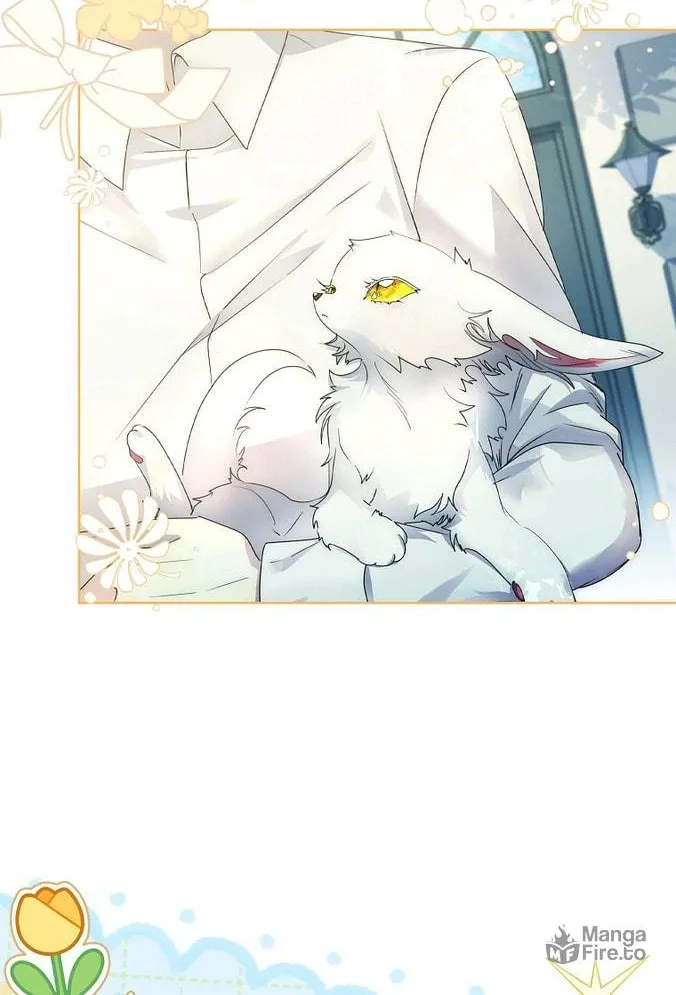 Read I Raised a Nine Tailed Fox Wrongly chapter 12 image 5 on Lezhin