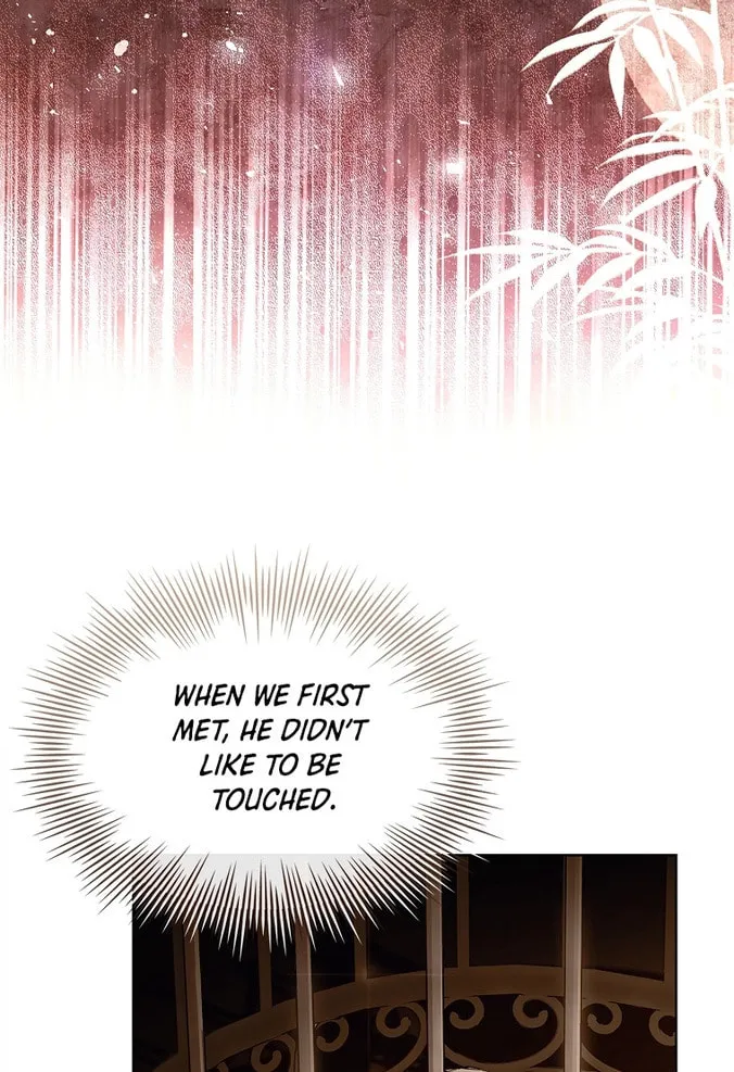 Read I Raised a Nine Tailed Fox Wrongly chapter 12 image 51 on Lezhin