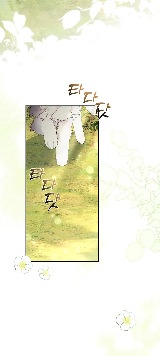 Read I Raised a Nine Tailed Fox Wrongly chapter 12 image 54 on Lezhin