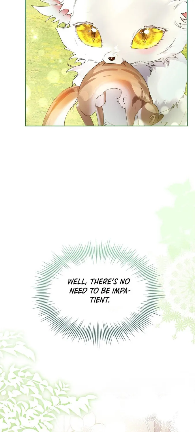 Read I Raised a Nine Tailed Fox Wrongly chapter 12 image 60 on Lezhin