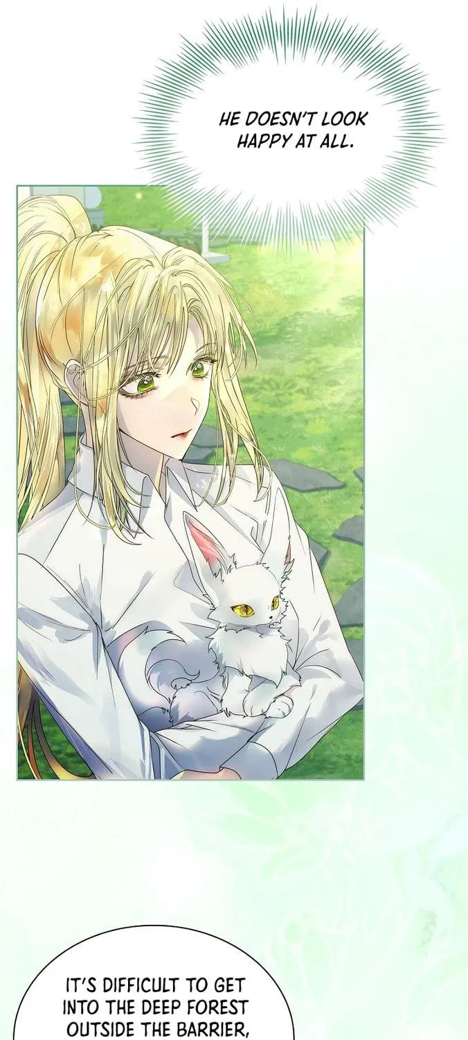 Read I Raised a Nine Tailed Fox Wrongly chapter 12 image 8 on Lezhin