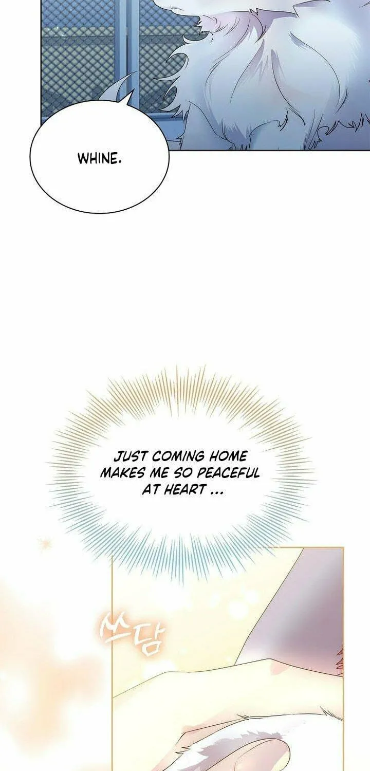 Read I Raised a Nine Tailed Fox Wrongly chapter 14 image 18 on Lezhin