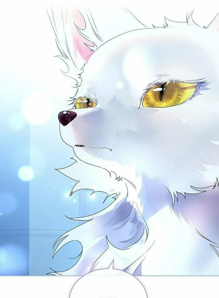 Read I Raised a Nine Tailed Fox Wrongly chapter 14 image 47 on Lezhin