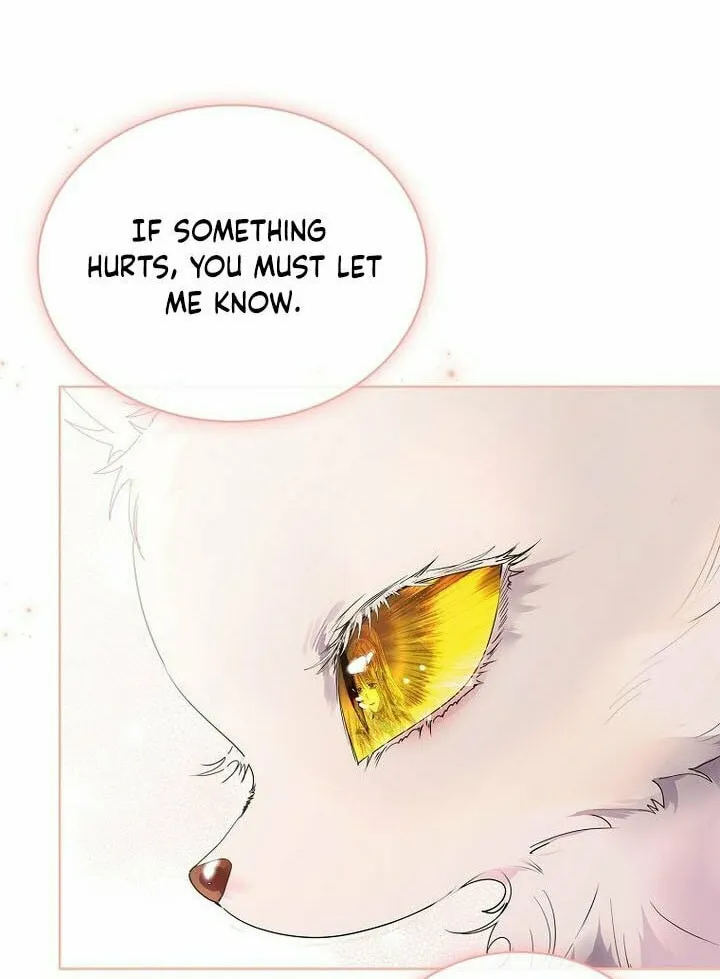 Read I Raised a Nine Tailed Fox Wrongly chapter 14 image 51 on Lezhin