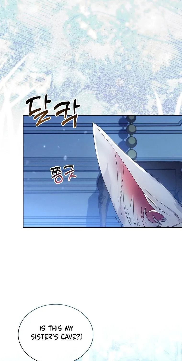 Read I Raised a Nine Tailed Fox Wrongly chapter 15 image 78 on Lezhin