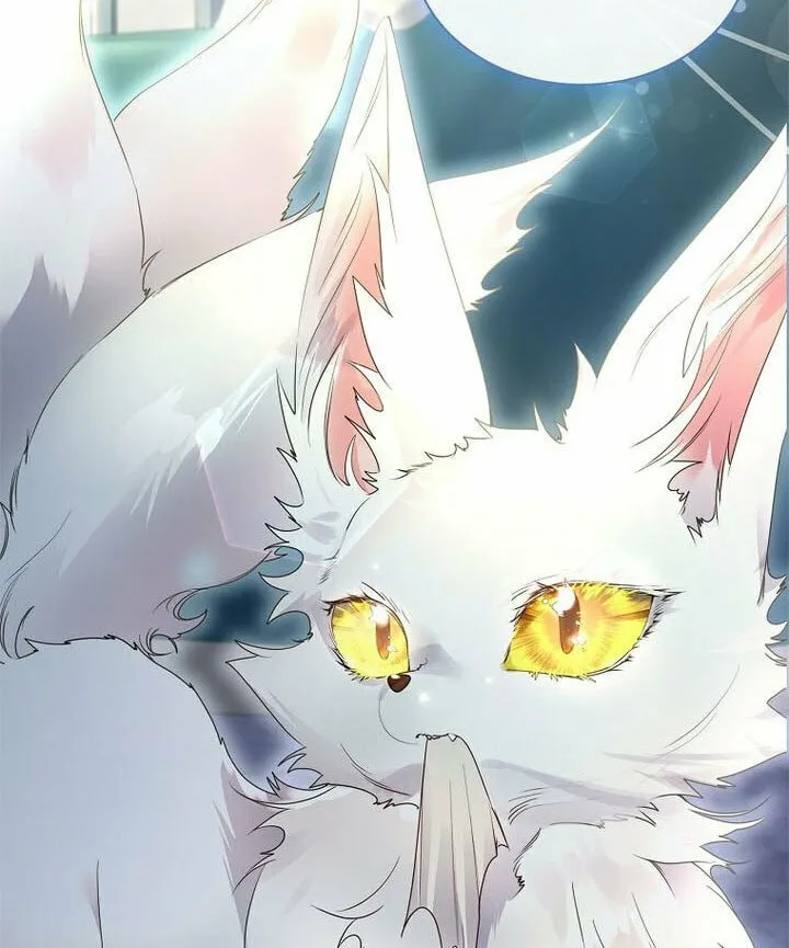 Read I Raised a Nine Tailed Fox Wrongly chapter 17 image 17 on Lezhin