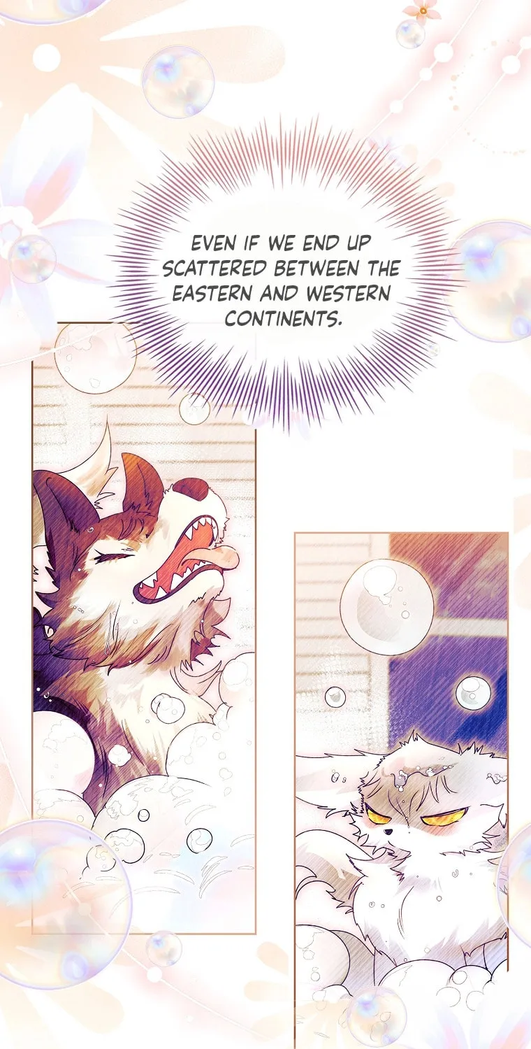 Read I Raised a Nine Tailed Fox Wrongly chapter 19 image 102 on Lezhin