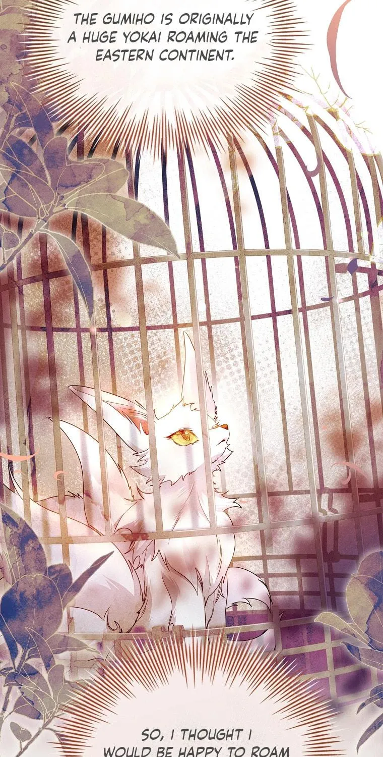 Read I Raised a Nine Tailed Fox Wrongly chapter 19 image 70 on Lezhin