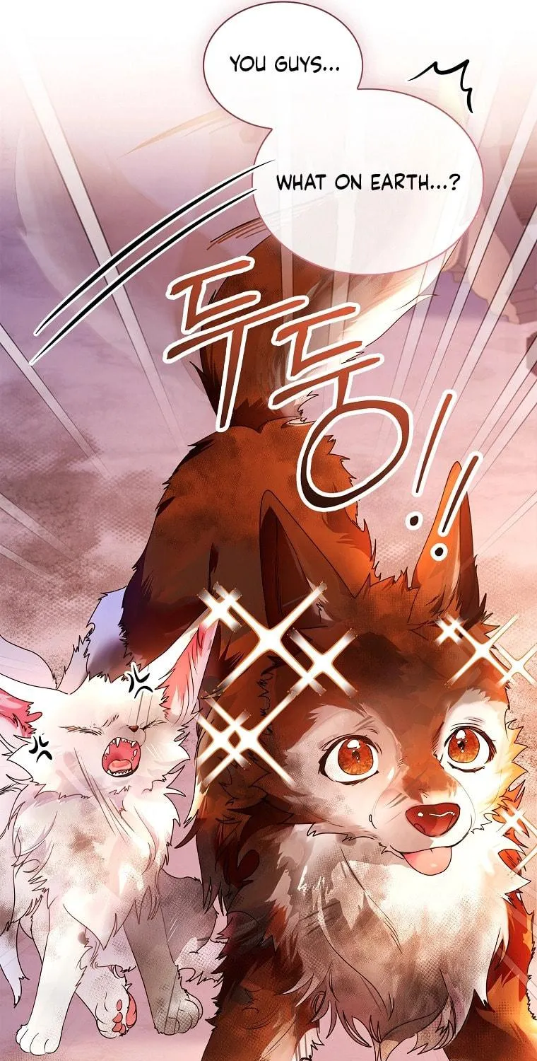 Read I Raised a Nine Tailed Fox Wrongly chapter 19 image 88 on Lezhin