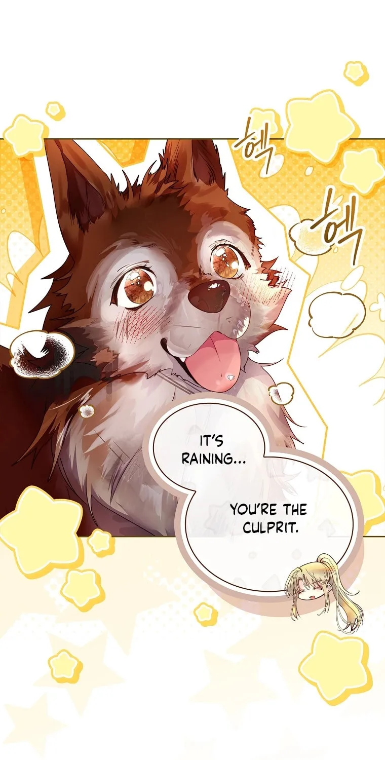 Read I Raised a Nine Tailed Fox Wrongly chapter 19 image 90 on Lezhin