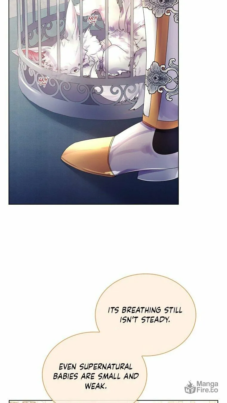 Read I Raised a Nine Tailed Fox Wrongly chapter 2 image 134 on Lezhin